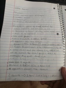 Handwritten notes on cellular respiration steps and products
