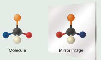 Molecular model of enantiomers (mirror images)