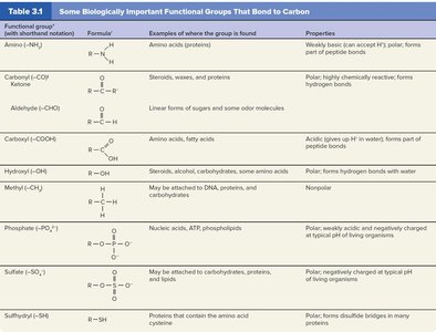 Table of biologically important functional groups