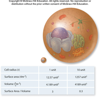 General Biology Cell Structure Study Guide for Exams | Notes