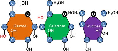 Cis and trans isomers of but-2-ene
