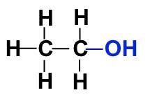 Estradiol and testosterone: functional group differences