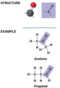 Carbonyl group structure and examples: acetone and propanal