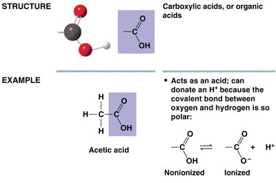 Carboxyl group structure and example: acetic acid