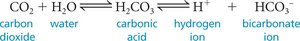 CO2 transport equation