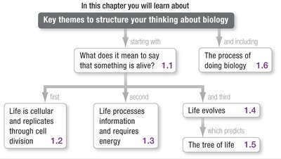 Chapter 1 roadmap: Key themes in biology