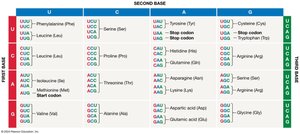 Genetic code table: codons and amino acids