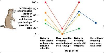 Matrix classifying social interactions: mutualism, altruism, selfishness, spite