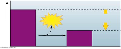 Exergonic reaction energy diagram