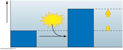 Endergonic reaction energy diagram