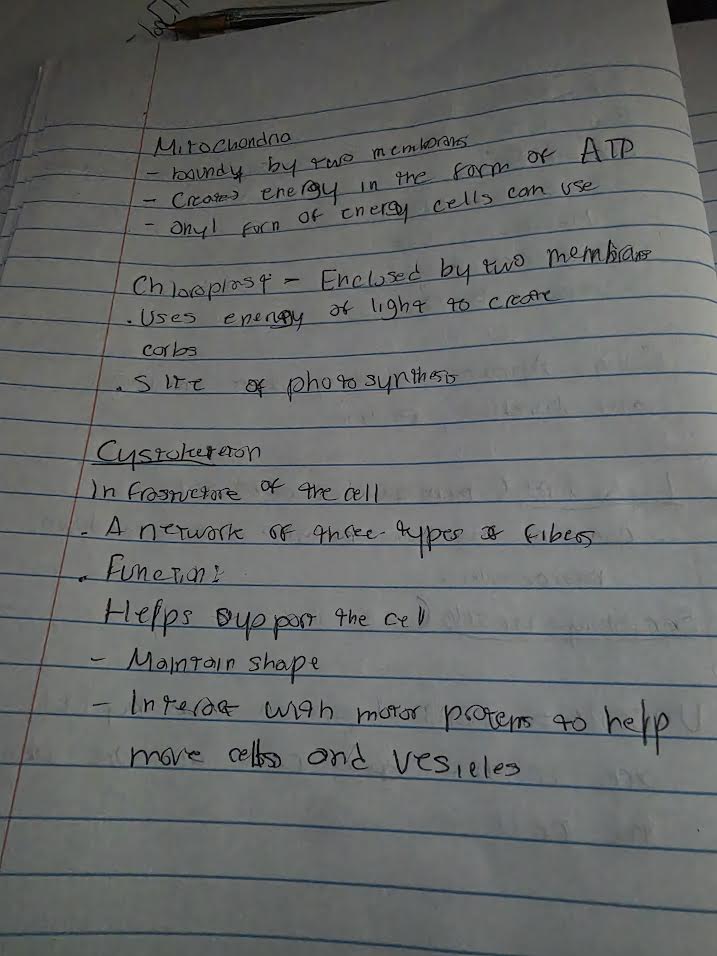 Handwritten notes on mitochondria, chloroplasts, and cytoskeleton