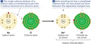 Formation of sodium chloride by electron transfer and ionic bond