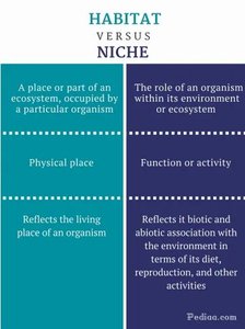 Comparison table of habitat versus niche