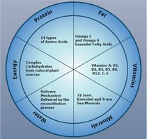 Wheel diagram of essential nutrients