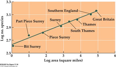 Log-transformed species-area relationship in Southern England