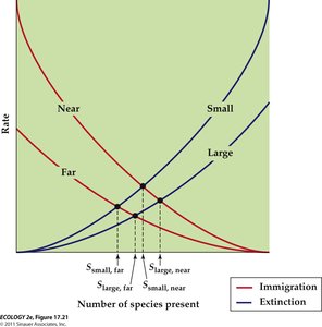 Immigration and extinction rates as functions of species number