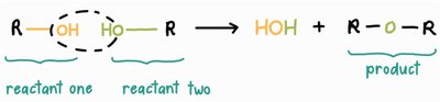 Dehydration synthesis and hydrolysis