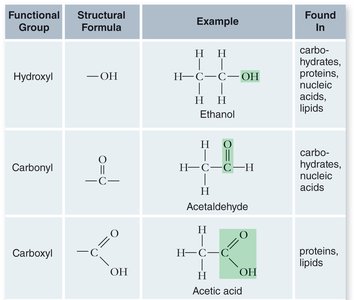 Table of functional groups: hydroxyl, carbonyl, carboxyl