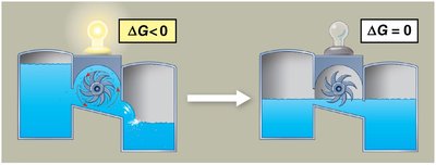 Closed system reaching equilibrium
