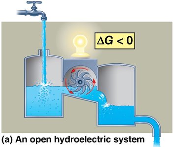 Open hydroelectric system as an analogy for living cells
