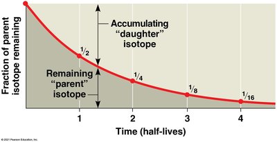Graph showing radioactive decay and half-lives
