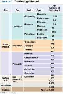 Table of the geologic record