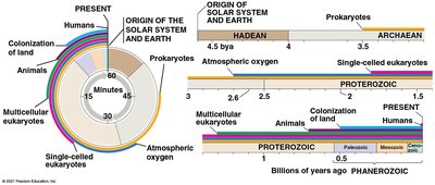 Geologic time scale and major events