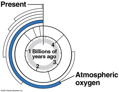 Timeline showing the accumulation of atmospheric oxygen