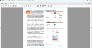 Linked genes inheritance diagram