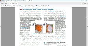 Sex-linked inheritance in fruit flies