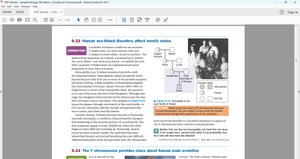 Pedigree of hemophilia in royal families