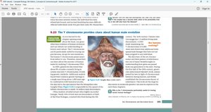 Y chromosome and human evolution