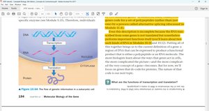 Gene expression and protein synthesis