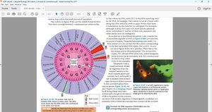 Genetic code wheel