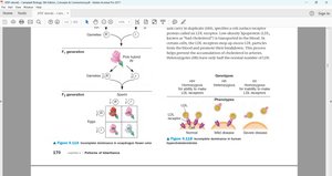 Genotypes and phenotypes for hypercholesterolemia