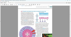 Start and stop codons in translation