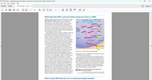 Exon splicing in mRNA processing