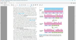 Silent, missense, and nonsense mutations