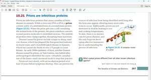 Prion structure and misfolding