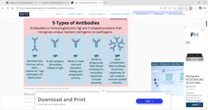 Types of antibodies