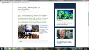 Examples of emergent properties in biological systems