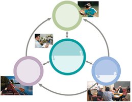 Diagram of the scientific process including exploration, hypothesis testing, and feedback