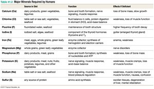 Table of major minerals required by humans