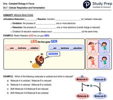 Redox reactions: LEO the lion goes GER
