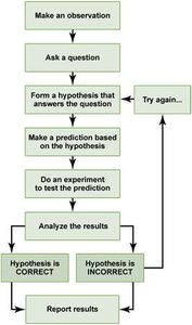 Flowchart of scientific method steps