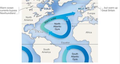 Ocean gyres and climate moderation