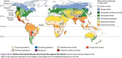 Map of major terrestrial biomes