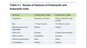 Table comparing prokaryotic and eukaryotic cells
