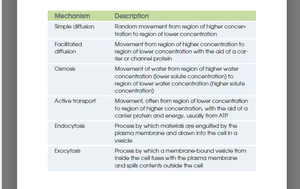 Table of membrane transport mechanisms