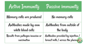 Table comparing active and passive immunity